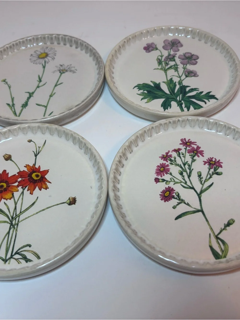 Thirstystone Brown Coaster Set Stoneware FLORAL Like New In Box